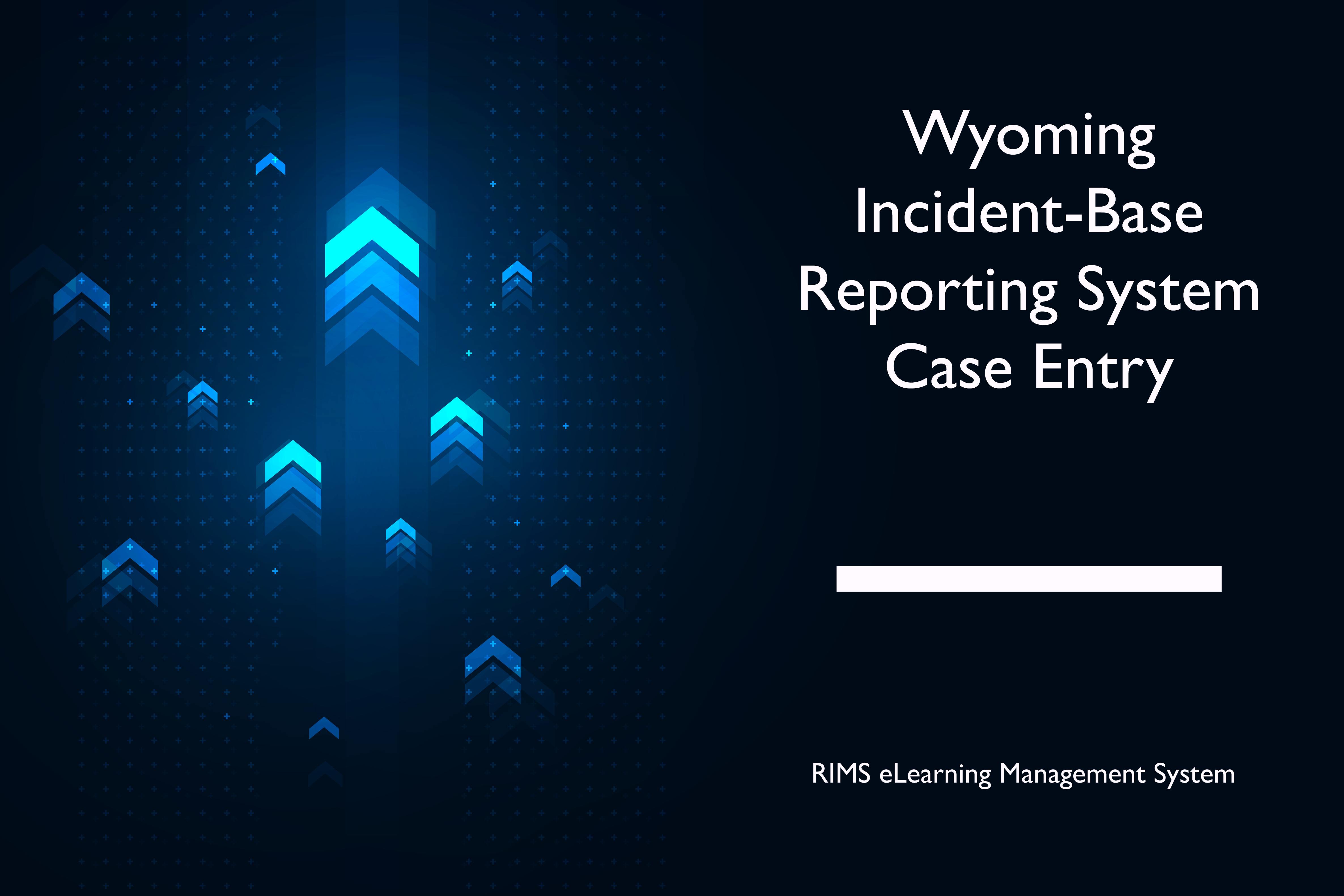 Wyoming Incident-Based Reporting System (WYIBRS) Case Entry and Reporting