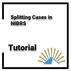 Splitting Cases for NIBRS Offenses